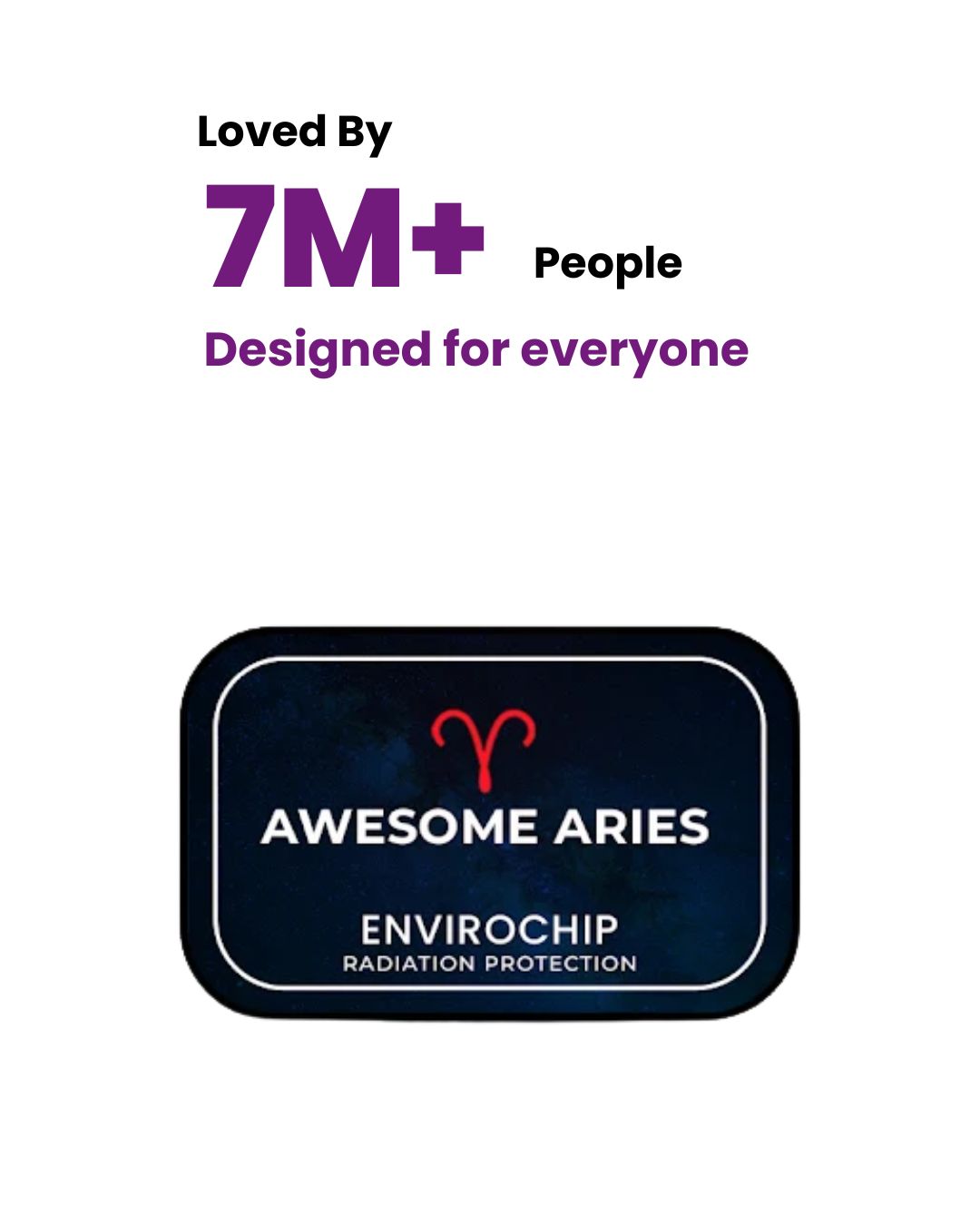 Envirochip (New)