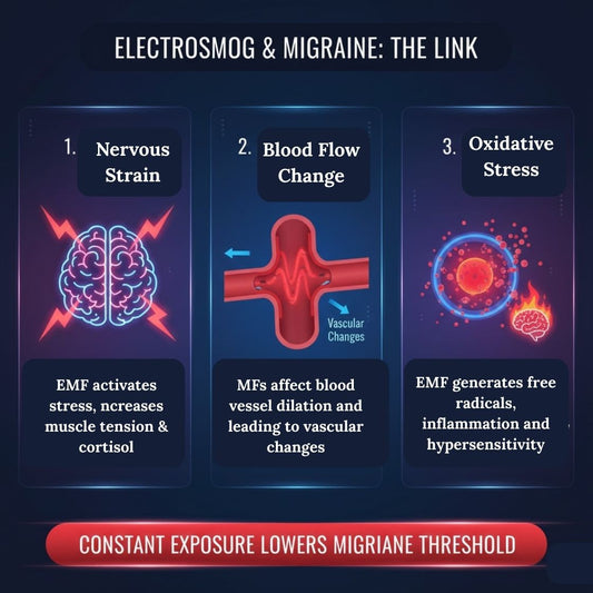 Infographic detailing the link between Electrosmog (EMF radiation) and migraines through three physiological effects: Nervous System Strain, Blood Flow Changes, and Oxidative Stress, explaining how constant exposure lowers the migraine threshold.