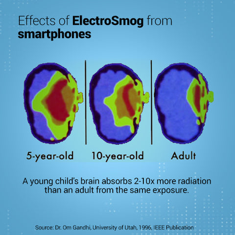 Envirochip for Desktops | Better than your Anti Radiation Mobile Chip